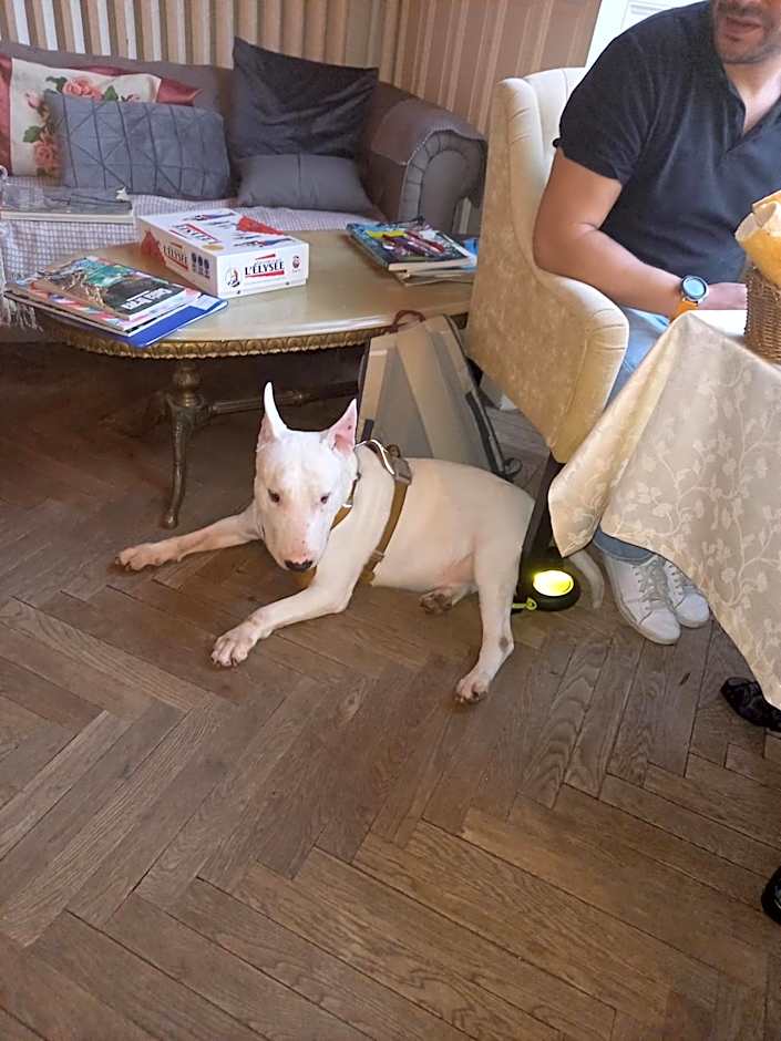 Le Belvedere des Remparts