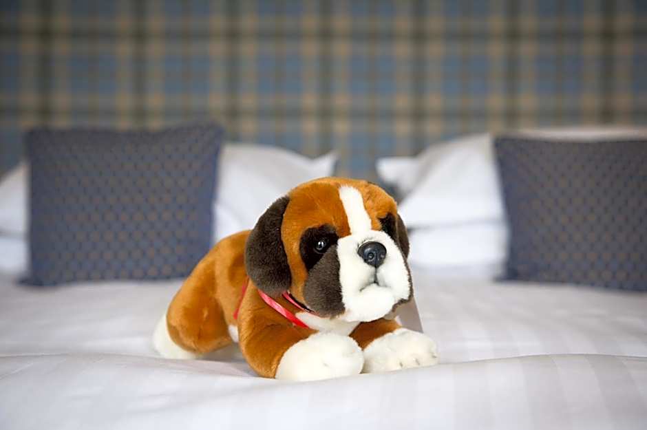 Lake Vyrnwy & Spa Hotel