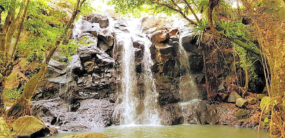 Puri Dajuma Terrace Eco Lodge & Spa