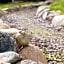 Sneem River Lodge Bed & Breakfast