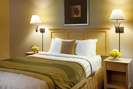 One-Bedroom King Suite