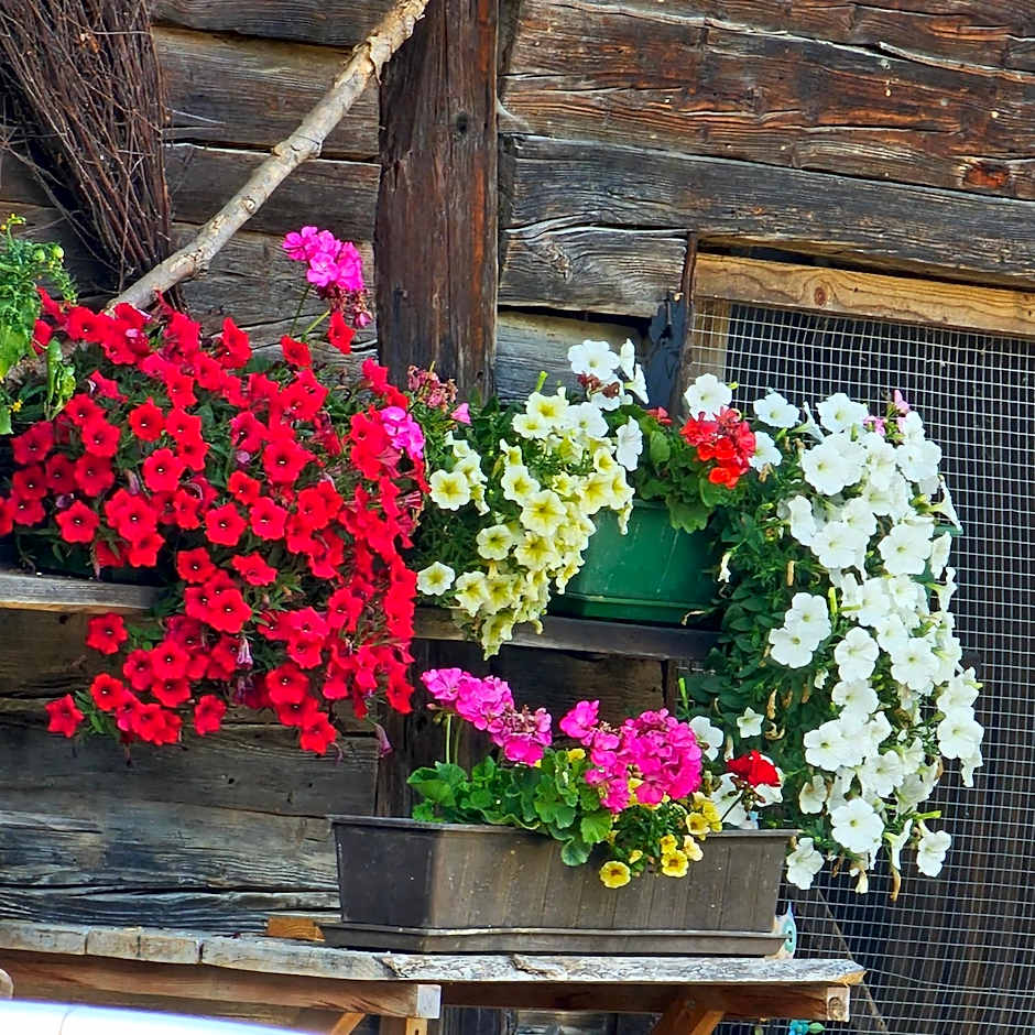 Der Blankhof "Back to Roots"