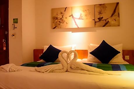 Superior Single Room