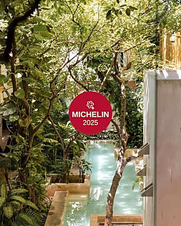 TreeHouse Boutique Hotel, an adults only boutique hotel