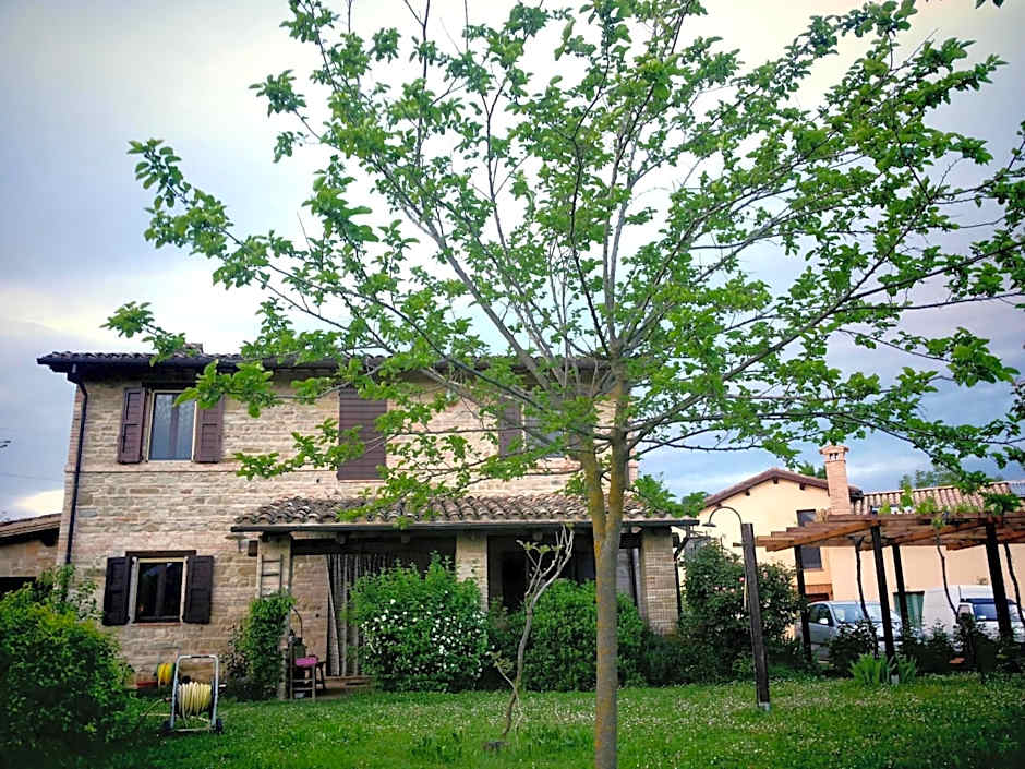 B&B Antegiano
