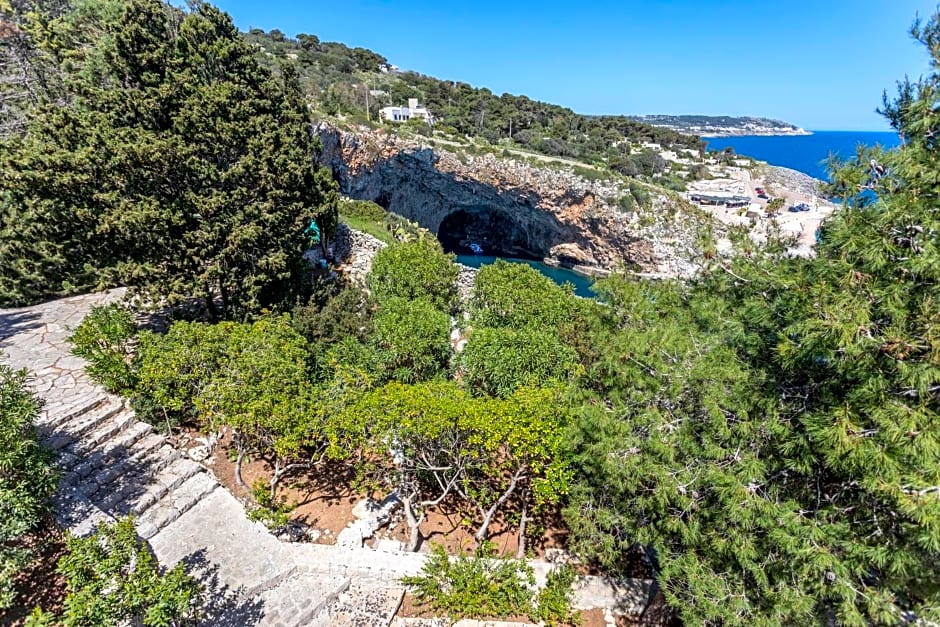 Il Posto delle Fragole