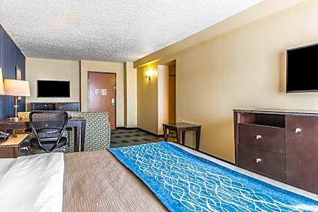 Business King Room