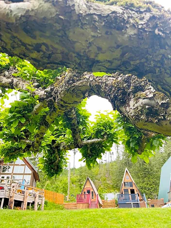 Gracies Grotto Cabin