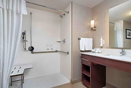 1 King Accessible Roll In Shower Studio Non-Smoking