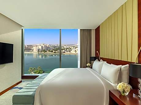 Junior King Suite with View
