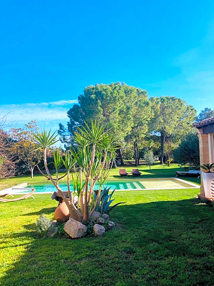 Le Patio, chambres d hôtes pour adultes en Camargue, possibilité de naturisme à la piscine,