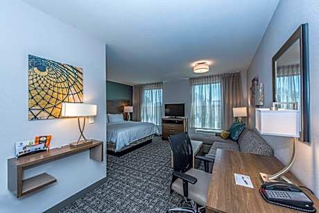 1 King Studio Suite Single Sofa Bed