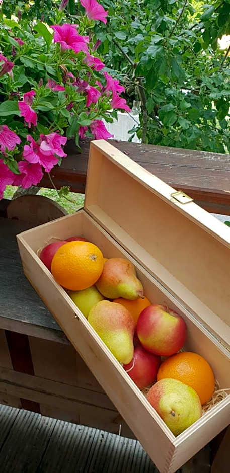 Hotel Schwarzer Adler