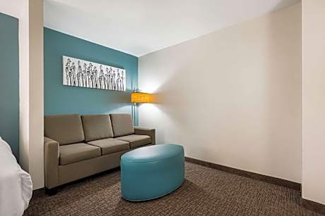 1 King Bed, Suite, Nonsmoking
