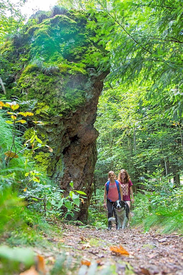 Domaine du Hirtz, Restaurant & Spa