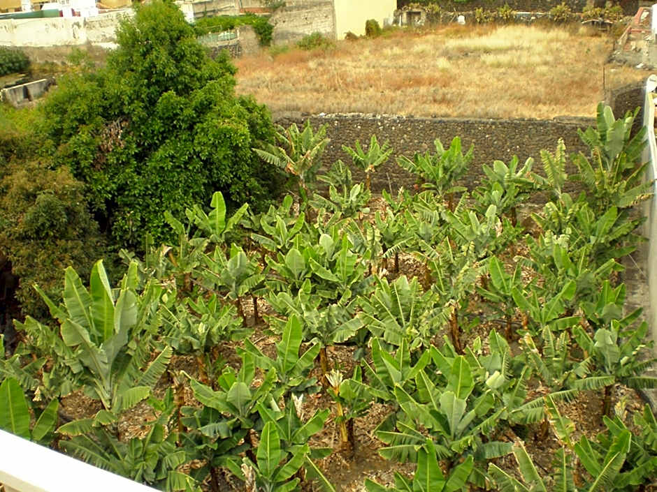 Hotel Tejuma