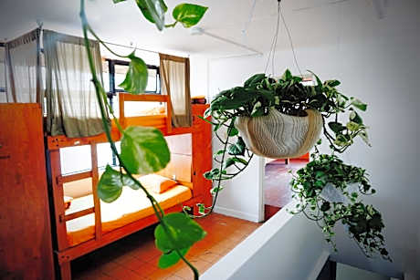 Bunk Bed in Mixed Dormitory Room