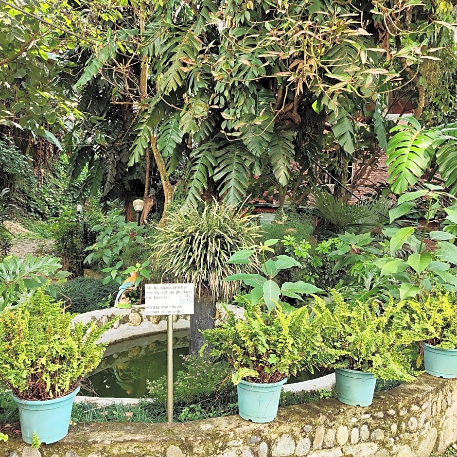 White Conch Residency