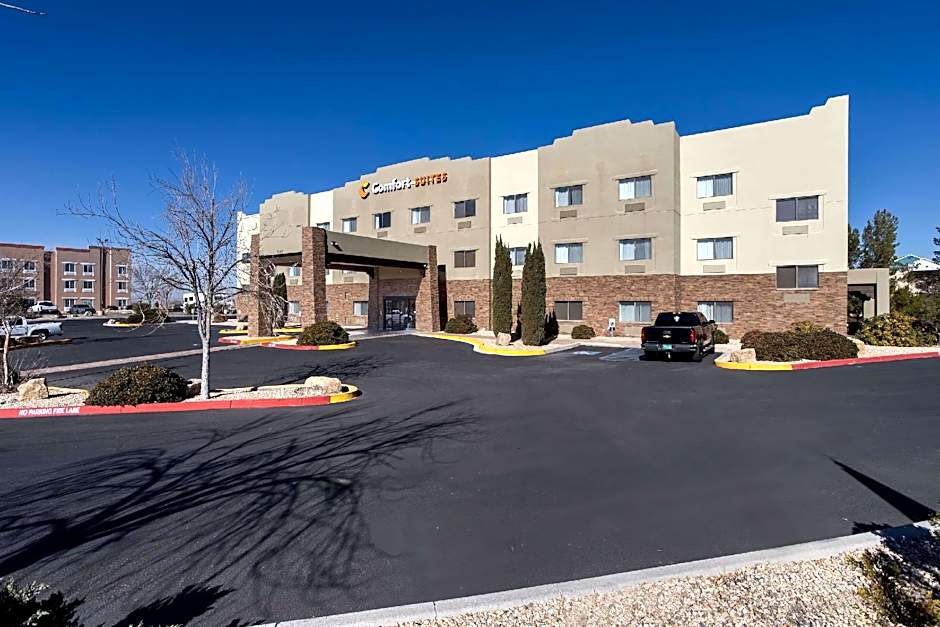 Comfort Suites   University
