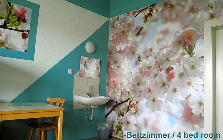 Hostel kangaroo-stop