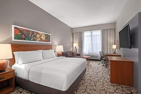 Standard King Room with Sofa Bed