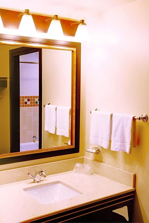 Disney Sequoia Lodge