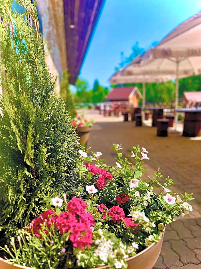 Üksik Rüütel Hotel