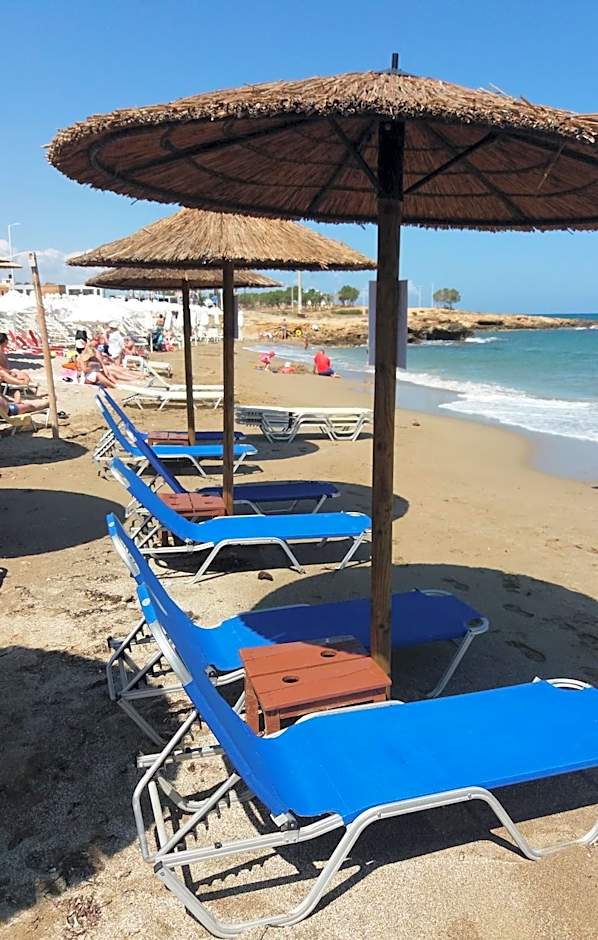 Diogenis Blue Palace