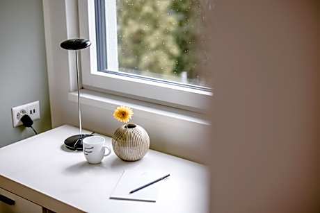 Business Double Room (55 in bed width)