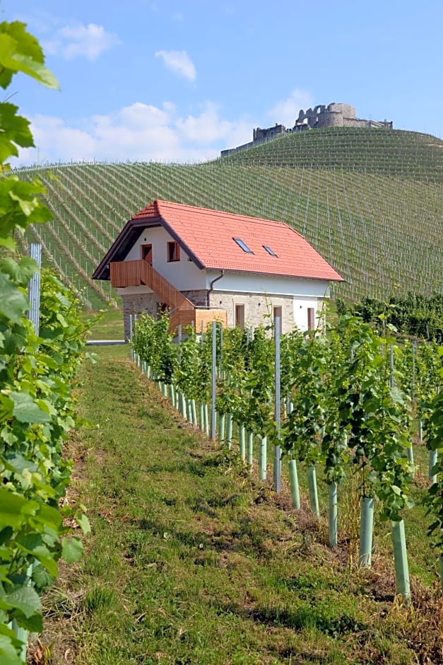 Weingut Taggenbrunn
