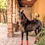 Hacienda El Salitre Hotel & Spa