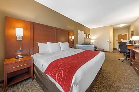 1 King Bed, Suite, Nonsmoking, Accessible