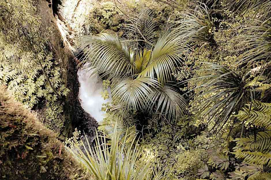 Waitomo Village Chalets home of Kiwipaka