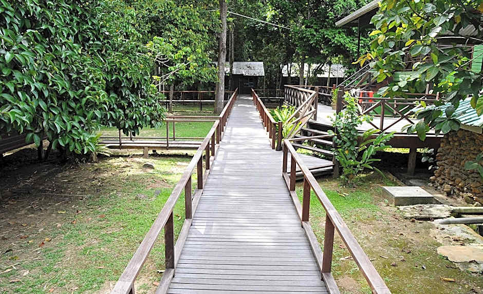 Sukau Greenview Bed and Breakfast