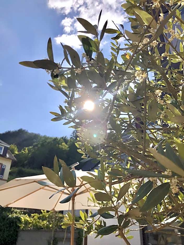 Hotel Villa Vie Cochem