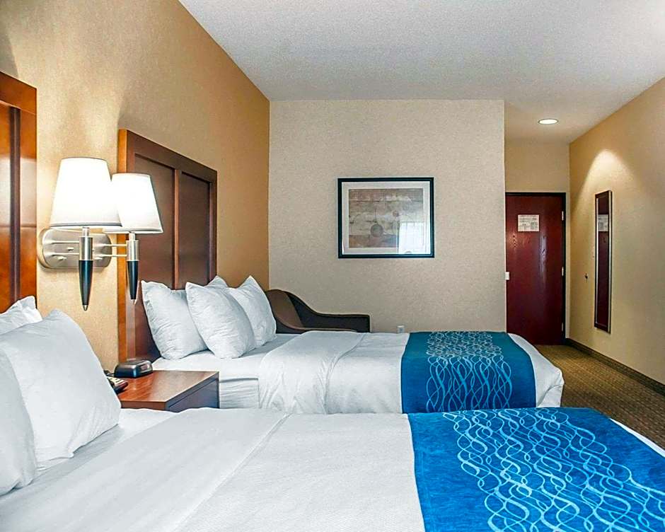 Comfort Inn & Suites Hamburg - Buffalo South