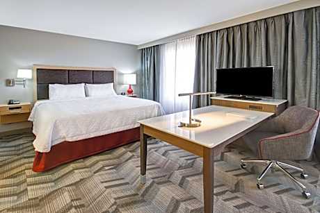 King Studio Suite - Non Smoking