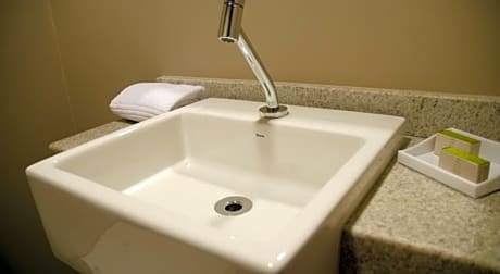 1 Double Bed Mobility Accessible Room Roll-In Shower Non-Smoking