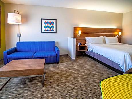 1 King Ste Comm Mobil Acess Tub Sofa Bed
