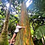 Howzit Hostels Maui