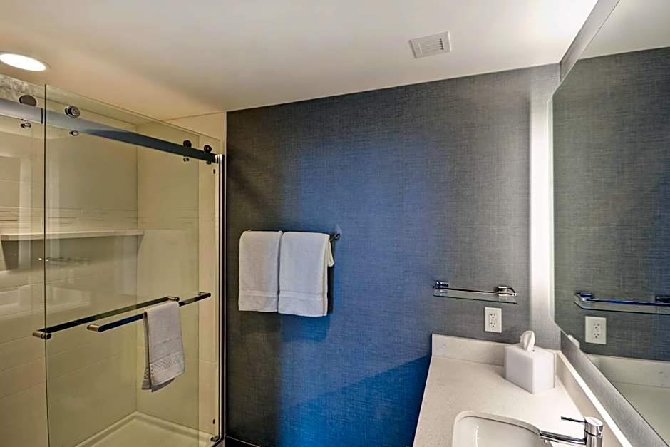 Residence Inn by Marriott New Orleans French Quarter Area/Cen B