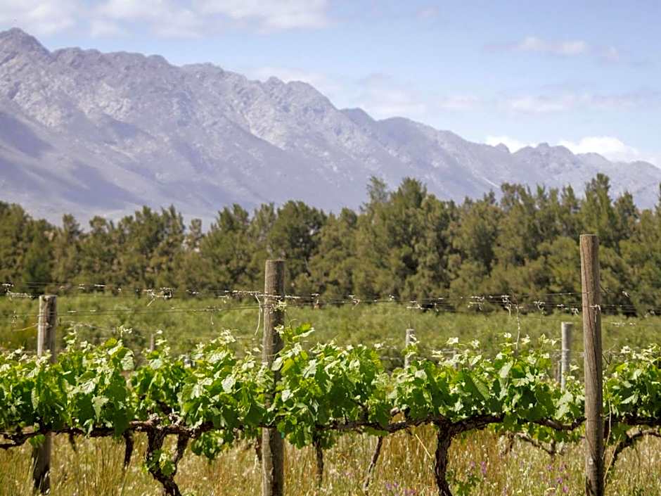 Duikersdrift Winelands Country Escape