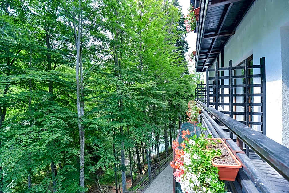 Hotel Posada Vidraru