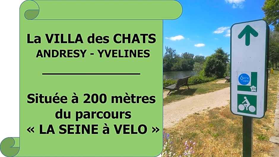 la villa des chats