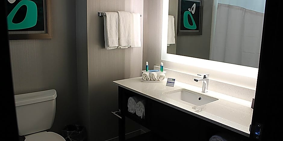 Holiday Inn Express & Suites SHAWNEE-KANSAS CITY WEST