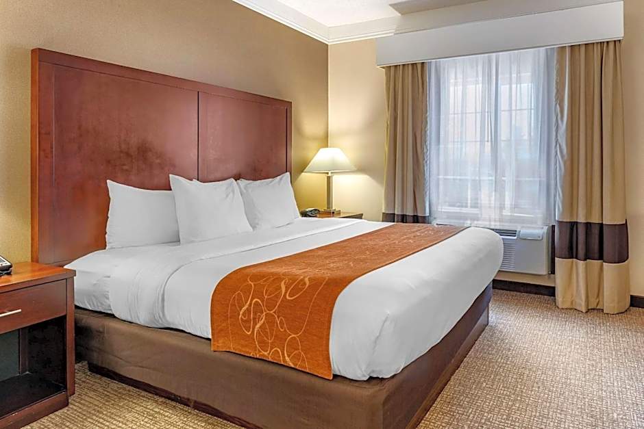 Comfort Suites Linn County Fairground And Expo