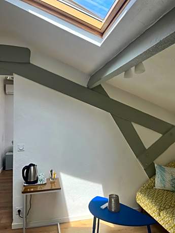 Mansard Roofed Double Room (4th Floor without elevator - Reading Corner)
