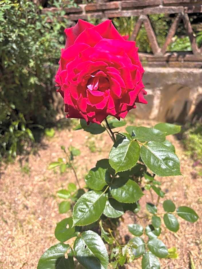 Hotel El Refugio de Juanar