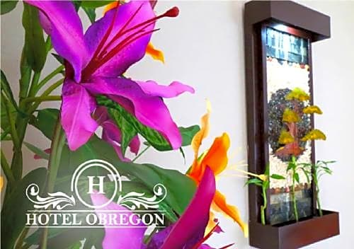Hotel Obregon