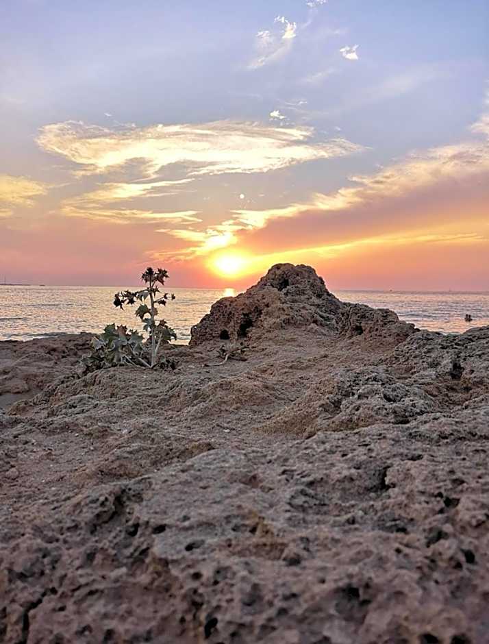 Eccelsoleccese Boutique B&B - steps from the Historic Center